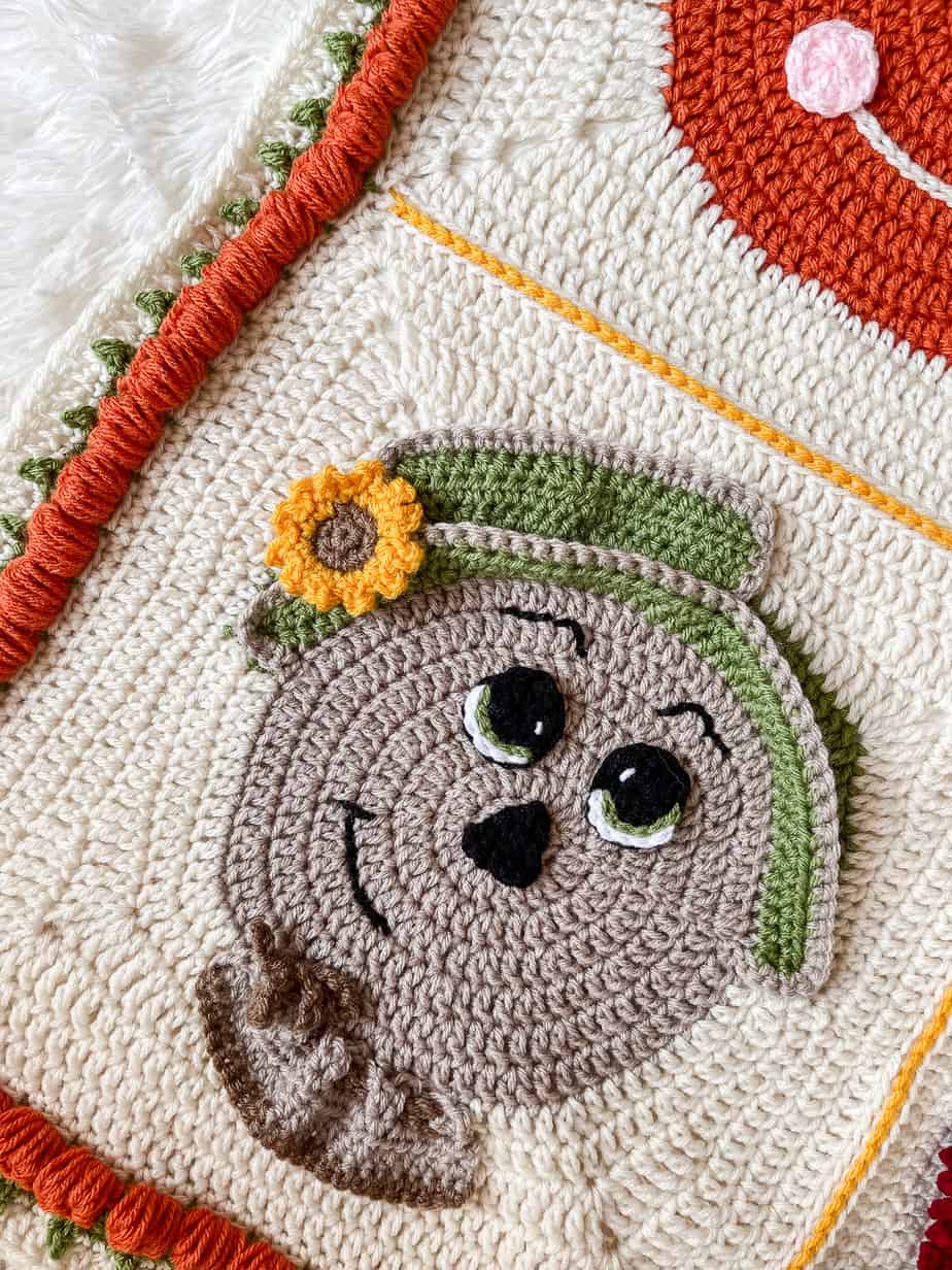 Pumpkin Crochet Blanket Border Pattern