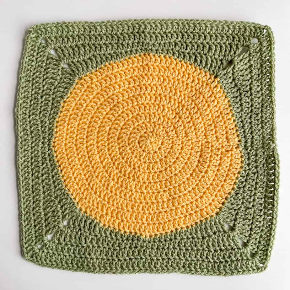 Circle in a Square giraffe square