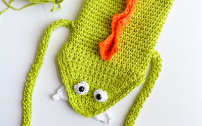 Marvin the Crochet Monster Water Bottle Holder